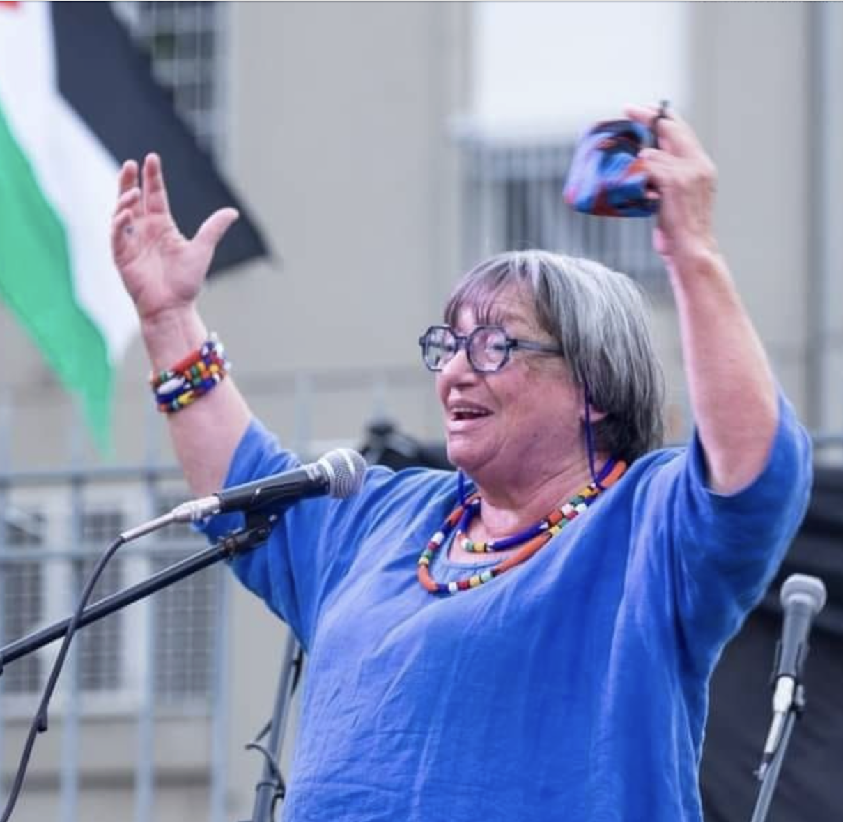 “We are going to put our bodies between the Palestinians and the settlers”